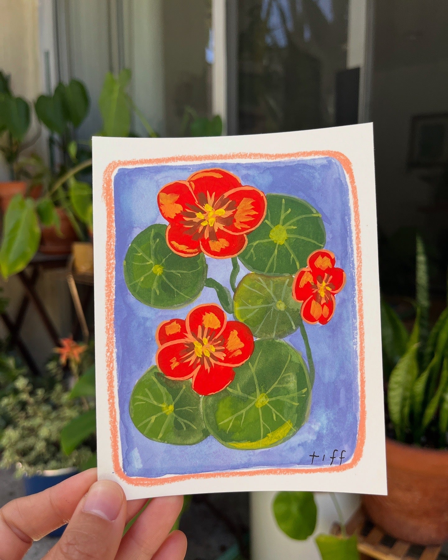 "Nasturtiums in Periwinkle" Original Painting
