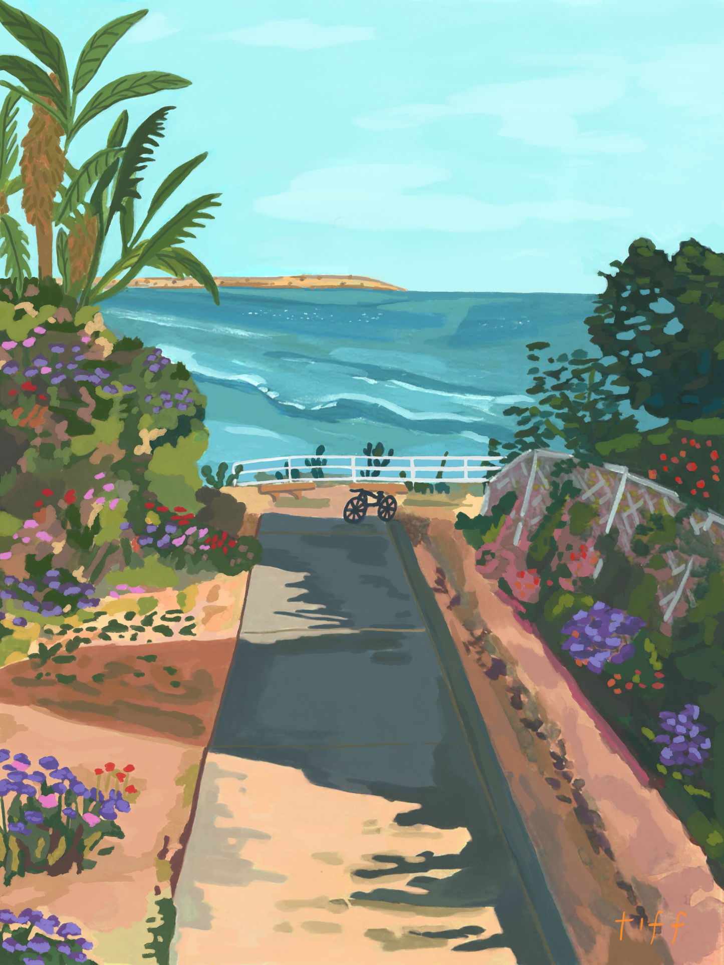 "Bird Rock Point" Print