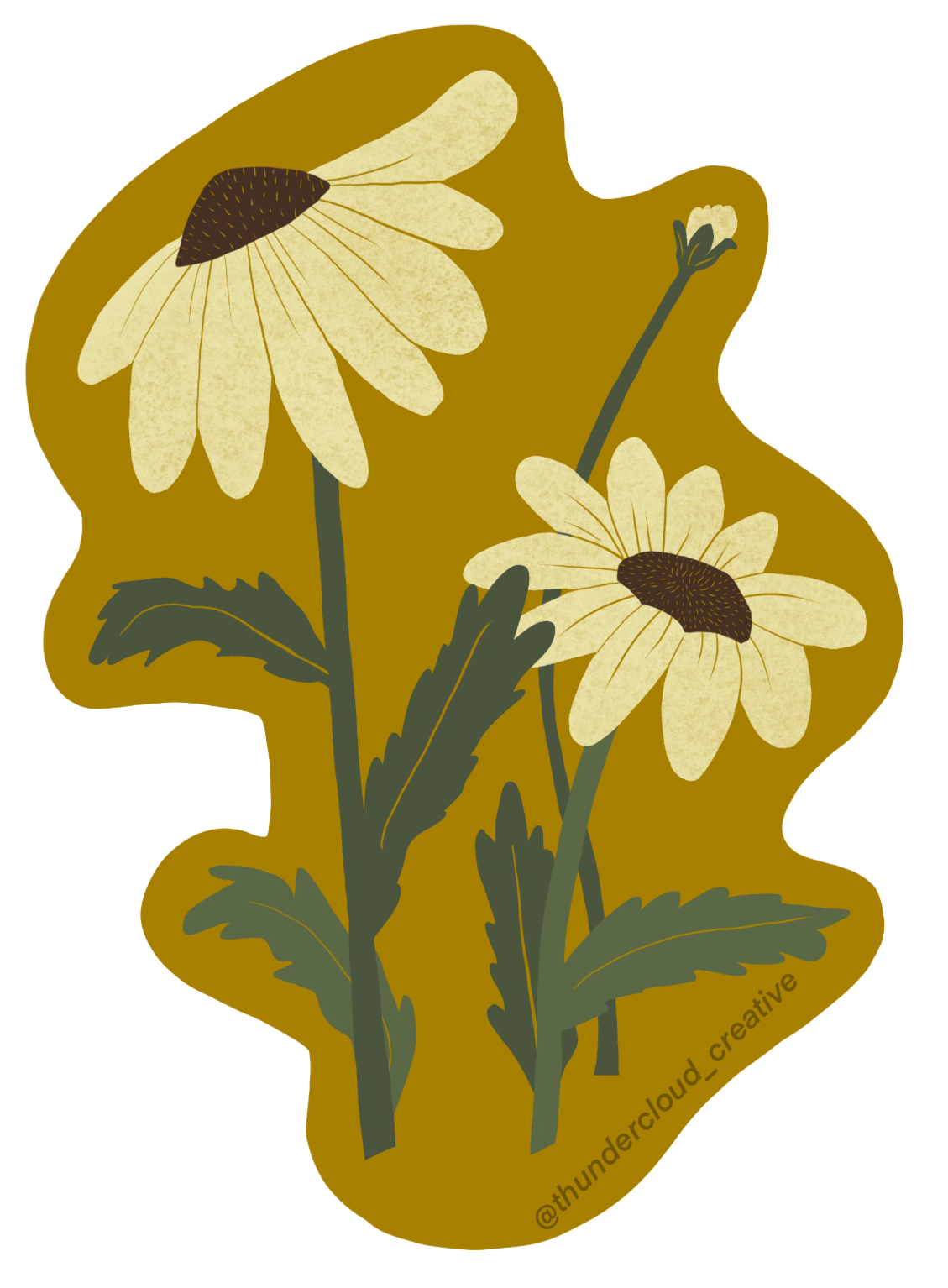 Wild Daisies Sticker