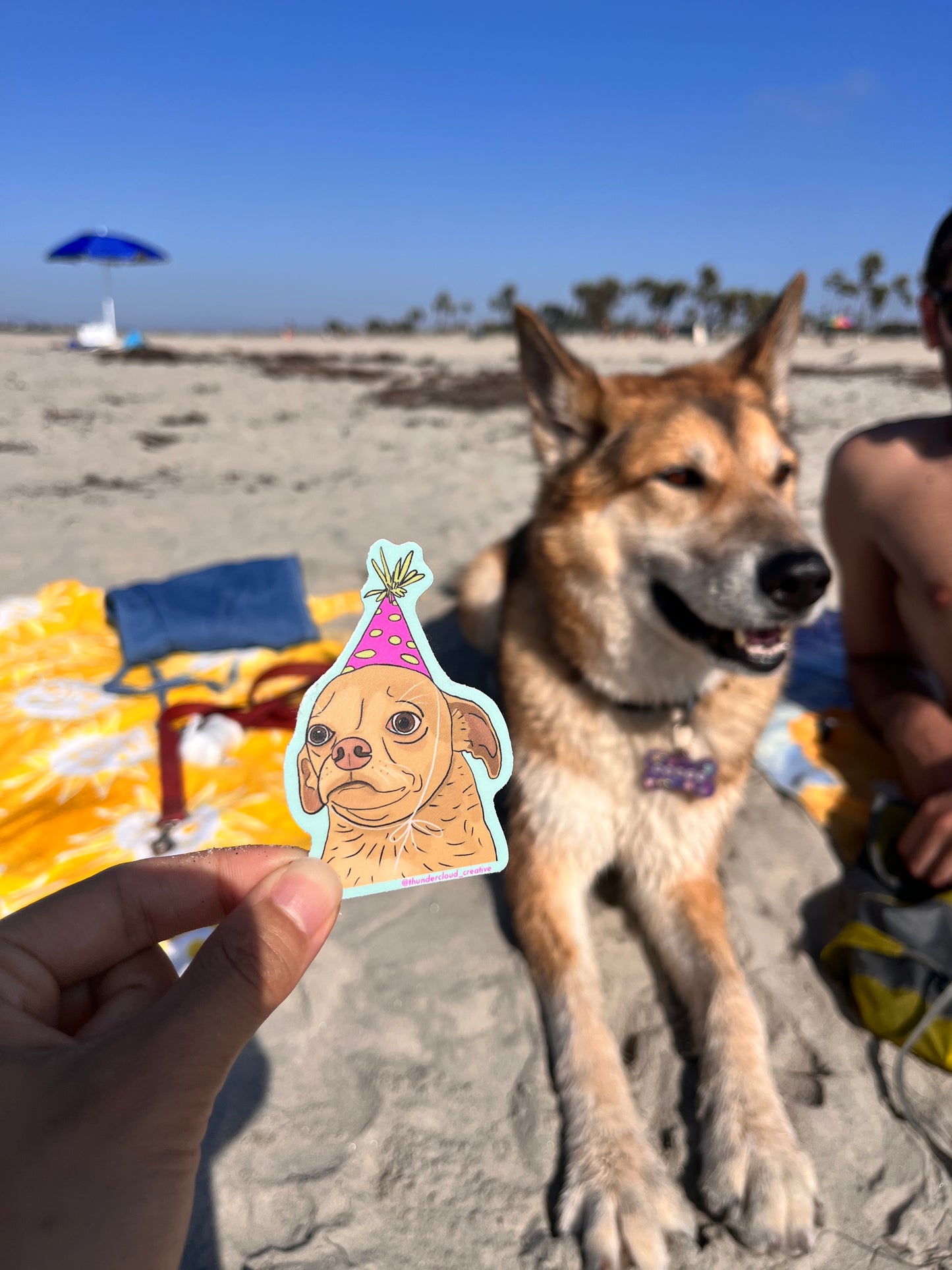 Party Pupper Sticker