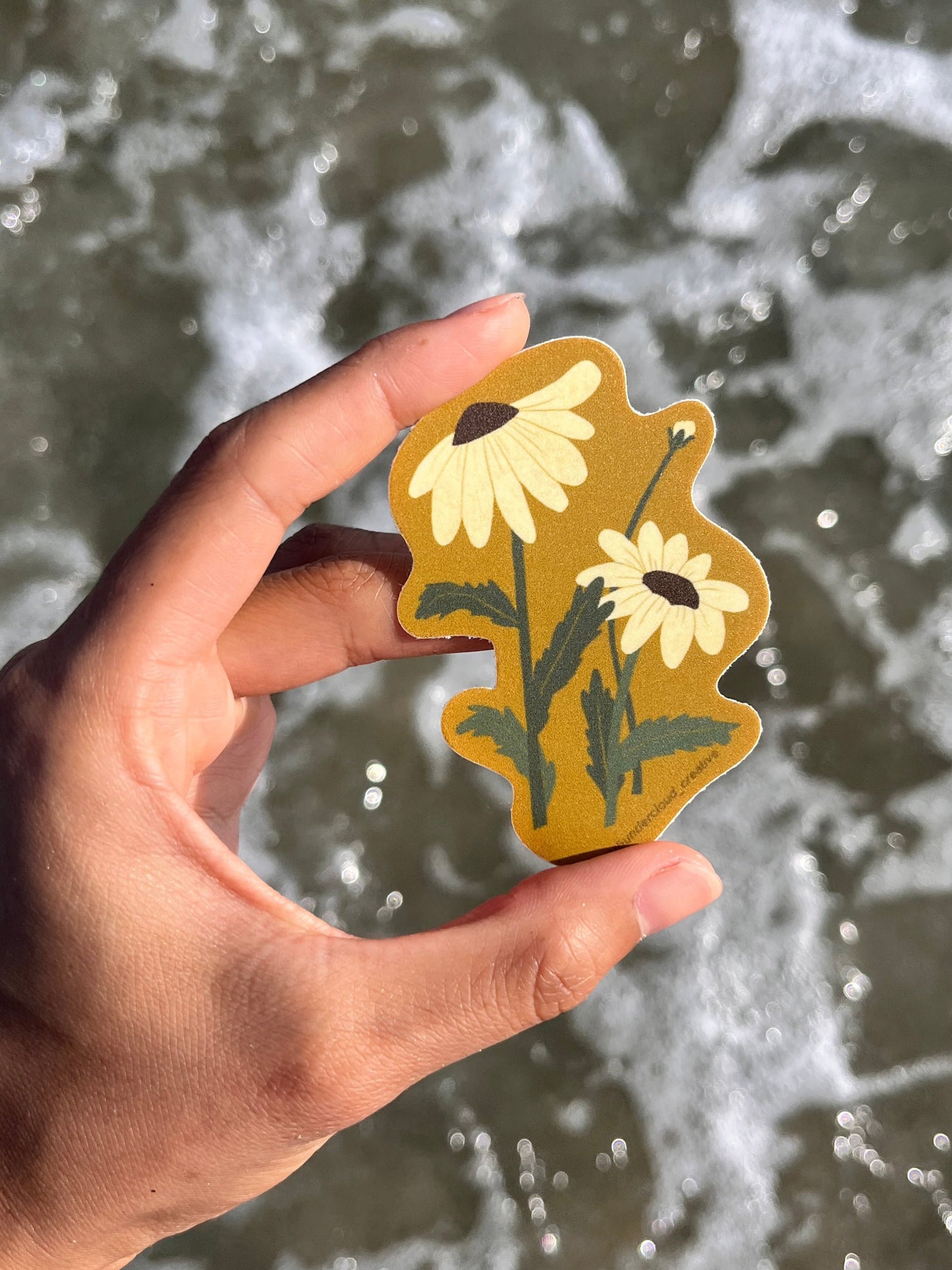 Wild Daisies Sticker