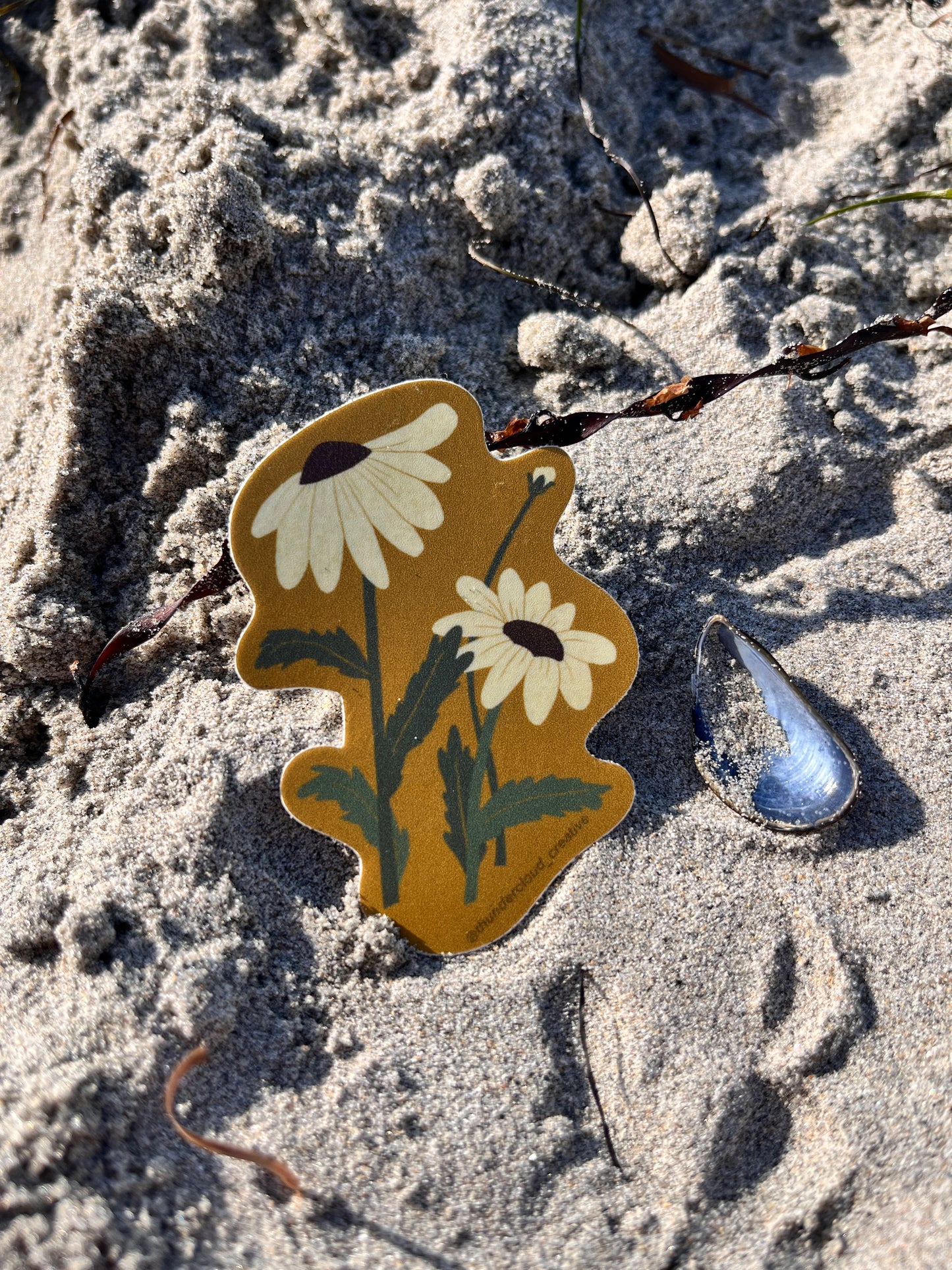 Wild Daisies Sticker