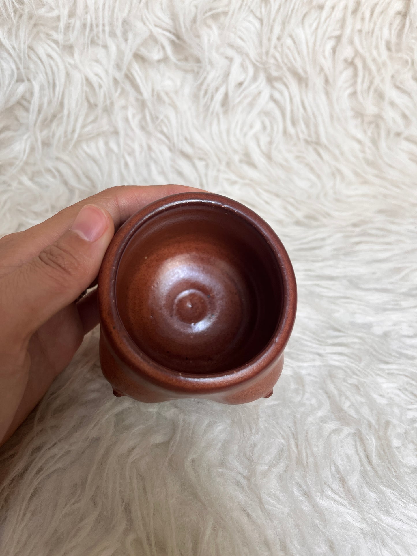 Boob Cup - Sienna